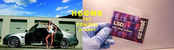 индика Зерноград