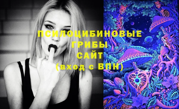 ПСИЛОЦИБИНОВЫЕ ГРИБЫ Зеленодольск