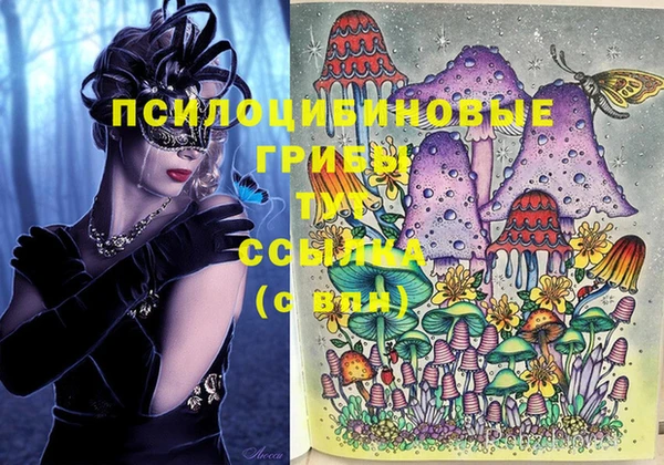 индика Зерноград