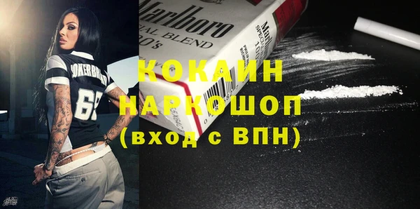 индика Зерноград