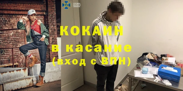 индика Зерноград