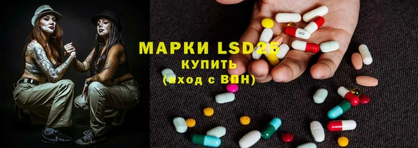индика Зерноград